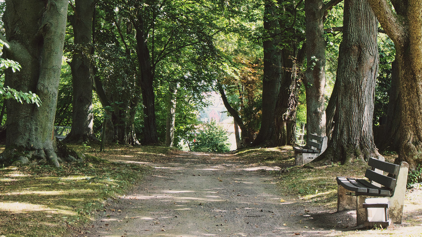 Pflegeheim Parkanlagen GSM 3